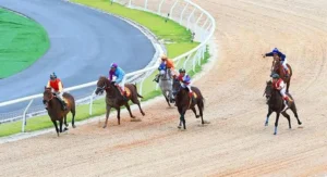 Tìm Hiểu Cá Cược Đua Ngựa W88: Hành Trình Thắng Lớn Trong Từng Ván Cược