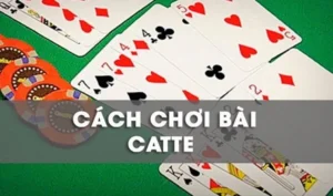 Hướng Dẫn Cách Chơi Sắc Tê W88 Dễ Thắng Cho Người Mới